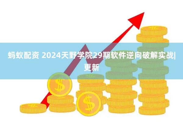 蚂蚁配资 2024天野学院29期软件逆向破解实战|更新